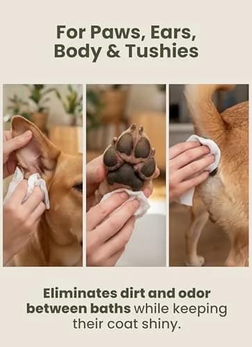 Pogi's Dog Grooming Wipes for Paws & Butt 240 Count | Green Tea Scent, Large 8 x 9 Inch, Hypoallergenic thumbnail 7