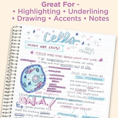 Zebra Pen Mildliner Highlighters Warm Colors Dual Tip 5-Pack | Smooth Ink Flow for Students & Office thumbnail 5