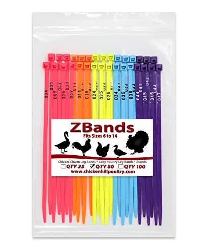 Chicken Hill 50 ZBand Numbered Poultry Leg Bands | Fluorescent, Fits Sizes 6-14 thumbnail 1