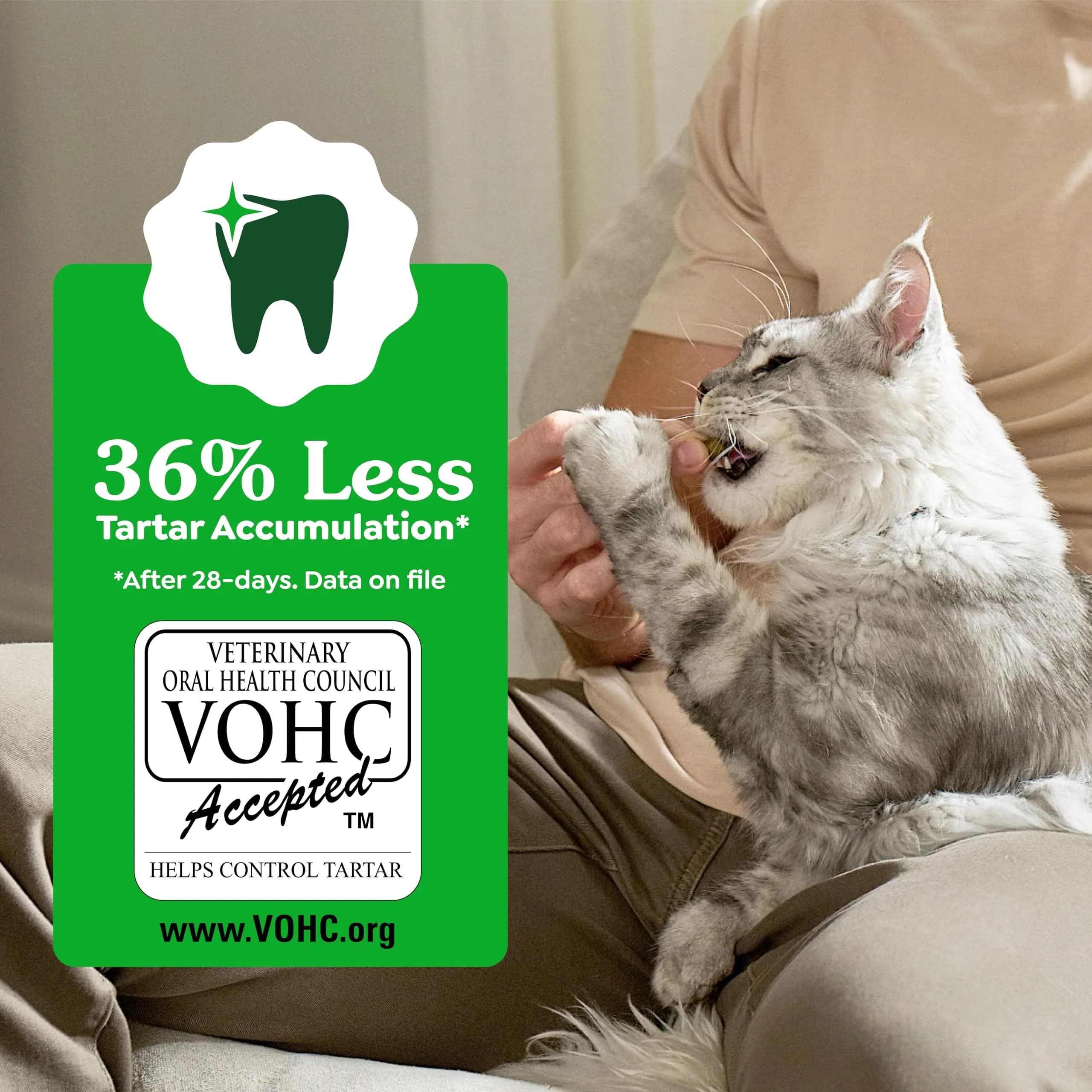 Greenies Feline Veterinarian-Recommended Dental Cat Treats, Catnip Flavor, 1.31 lb (594 g) Tub | Clinically Proven Oral Care - view 6