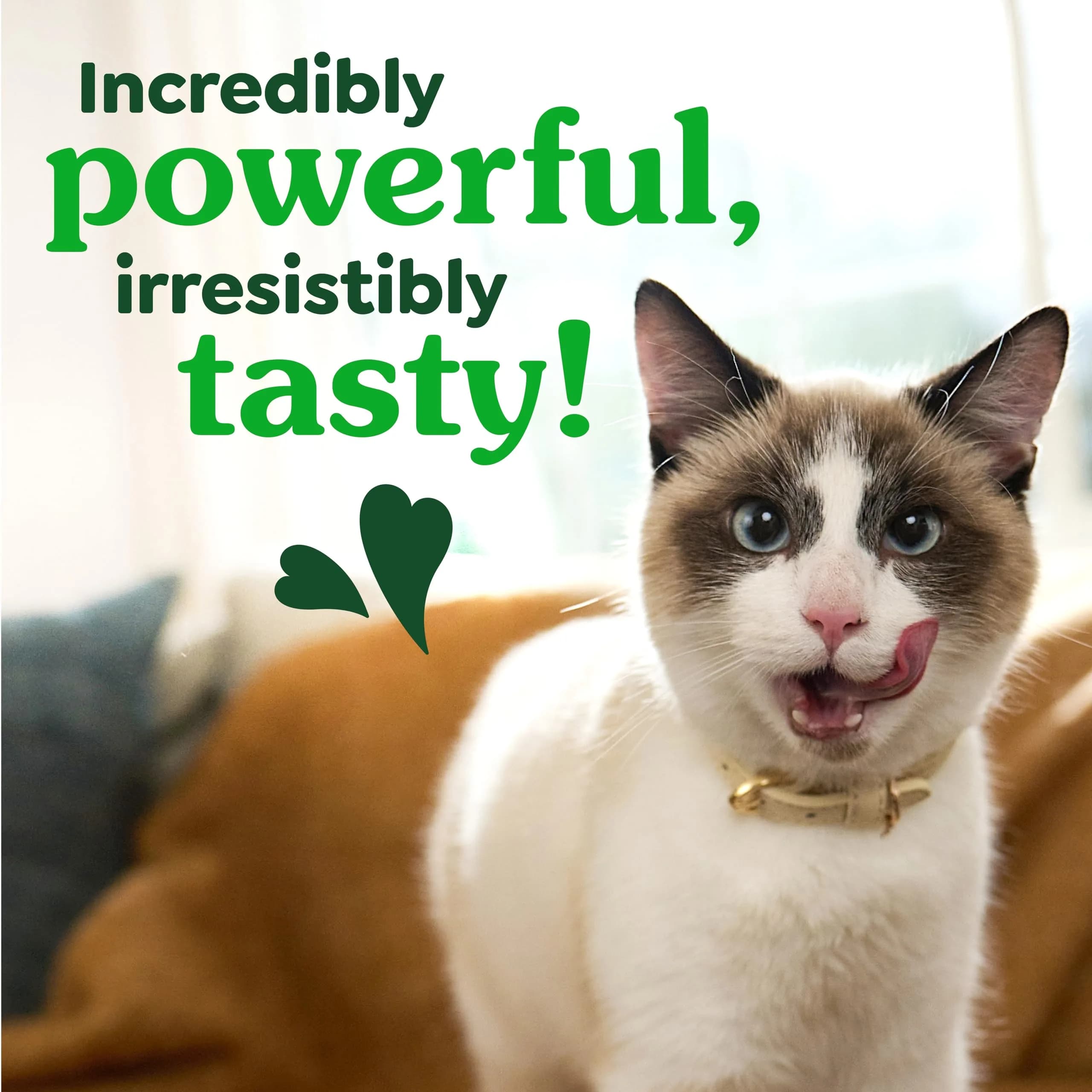 Greenies Feline Veterinarian-Recommended Dental Cat Treats, Catnip Flavor, 1.31 lb (594 g) Tub | Clinically Proven Oral Care - view 7