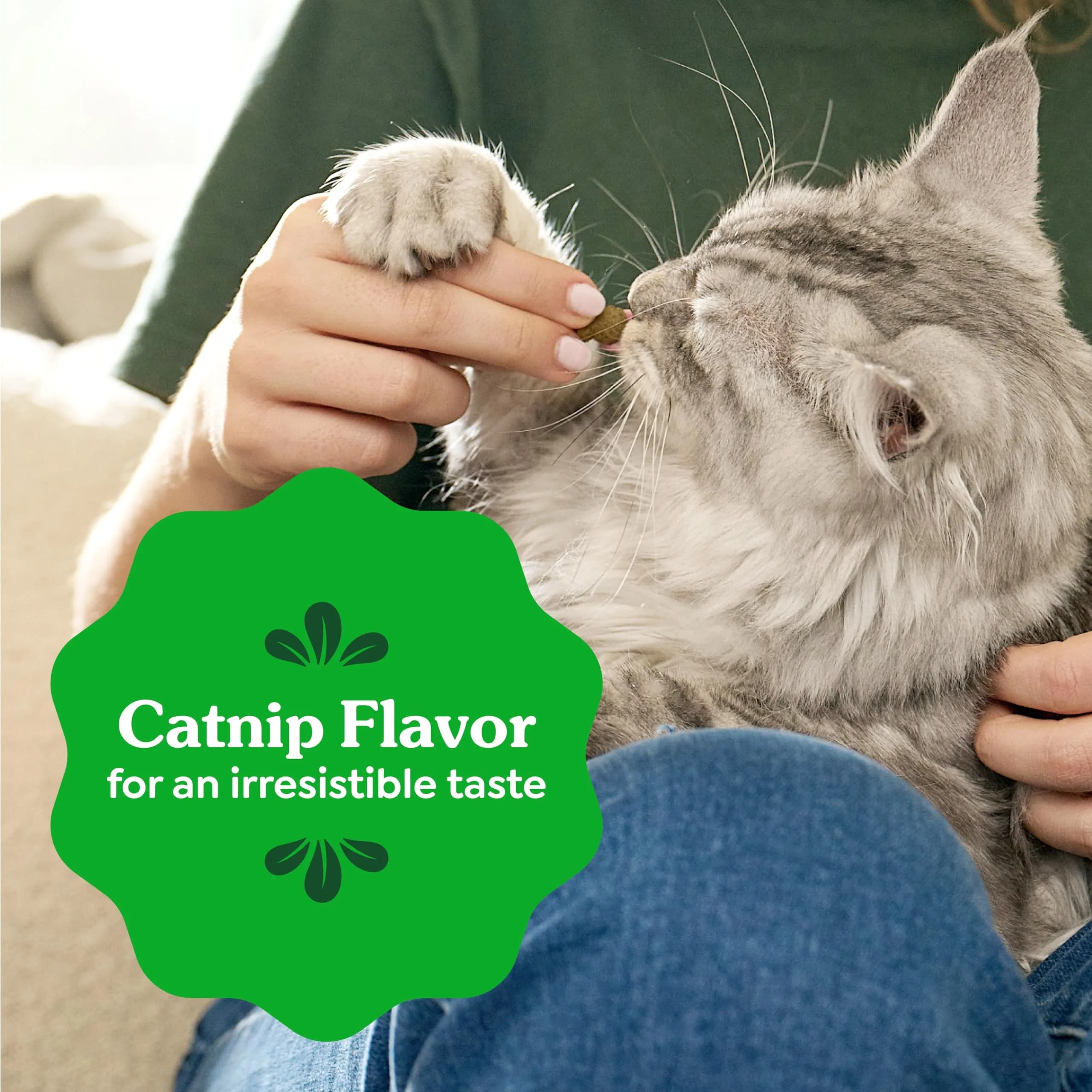 Greenies Feline Veterinarian-Recommended Dental Cat Treats, Catnip Flavor, 1.31 lb (594 g) Tub | Clinically Proven Oral Care - view 8