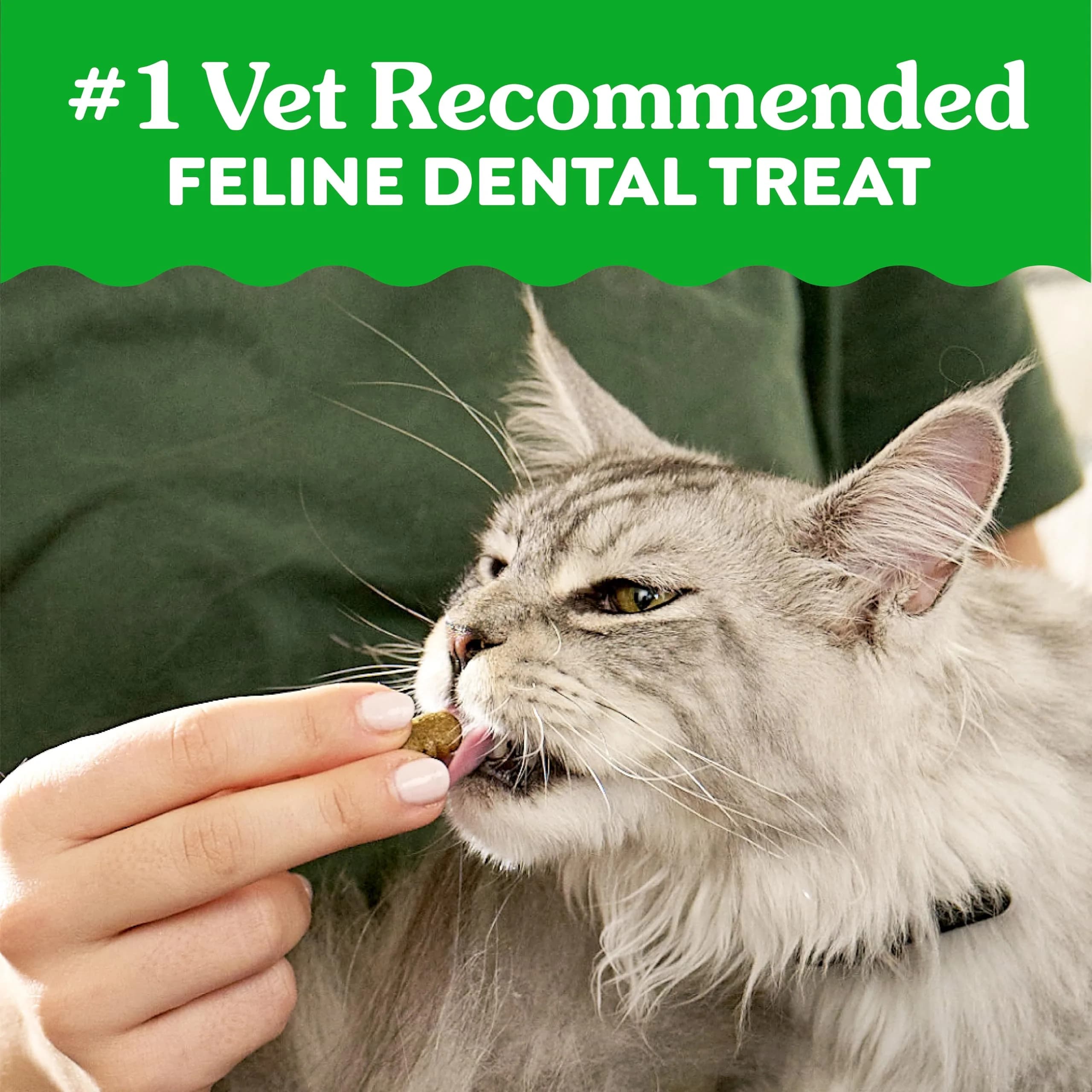 Greenies Feline Veterinarian-Recommended Dental Cat Treats, Catnip Flavor, 1.31 lb (594 g) Tub | Clinically Proven Oral Care - view 3