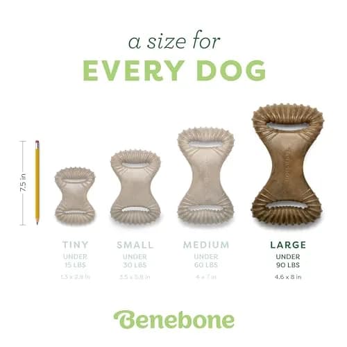 Benebone Dental Chew Toy for Dogs Large | Real Bacon, Durable USA Made thumbnail 4