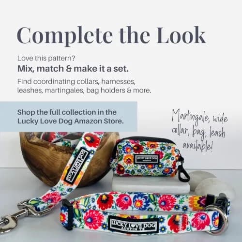 Lucky Love Dog Collar for Medium Dogs | Adjustable Nylon Collar with Easy Click Buckle & Vibrant Ladybird Pattern thumbnail 6