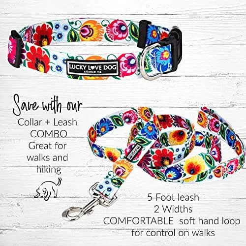 Lucky Love Dog Collar for Medium Dogs | Adjustable Nylon Collar with Easy Click Buckle & Vibrant Ladybird Pattern thumbnail 7
