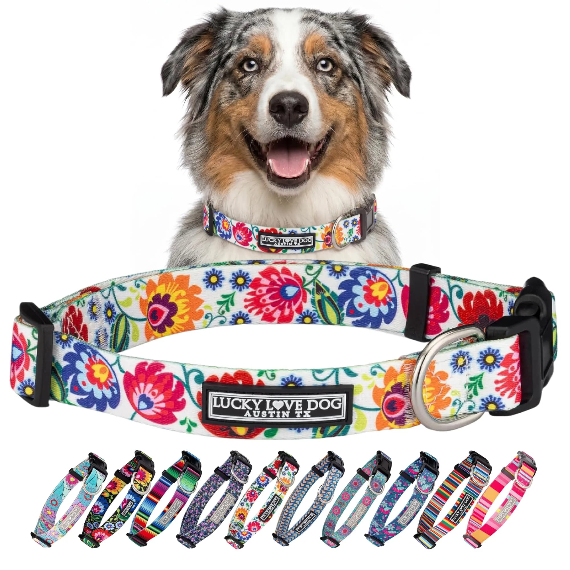 Lucky Love Dog Collar for Medium Dogs | Adjustable Nylon Collar with Easy Click Buckle & Vibrant Ladybird Pattern