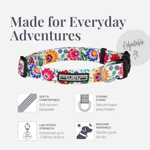 Lucky Love Dog Collar for Medium Dogs | Adjustable Nylon Collar with Easy Click Buckle & Vibrant Ladybird Pattern thumbnail 2
