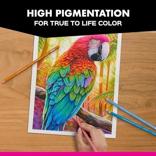 Prismacolor Premier Soft Core Colored Pencils, Vibrant Highlighting and Shading Set, 24 Count (24 Count) | Professional Grade Art Supplies thumbnail 6