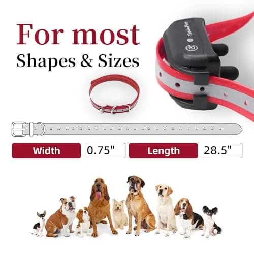 TrainPro Waterproof TPU Replacement Collar Strap for Dog Training Collars, 27.5 in (70 cm) | Universal Fit for Bark, Shock, E-Collars & Fences thumbnail 4