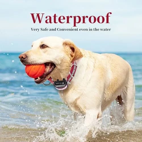 TrainPro Waterproof TPU Replacement Collar Strap for Dog Training Collars, 27.5 in (70 cm) | Universal Fit for Bark, Shock, E-Collars & Fences thumbnail 5