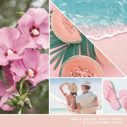 Yankee Candle Pink Sands Paper Car Jar Air Freshener, Pack of 2 | Exotic Island Escape Fragrance thumbnail 3