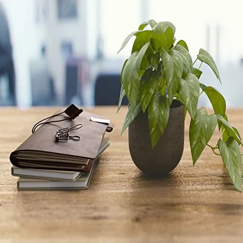 newestor Refillable Leather Journal Travelers Notebook 8.5 x 4.5 in (21.6 x 11.4 cm) | Handcrafted Artistry for Daily Use thumbnail 6