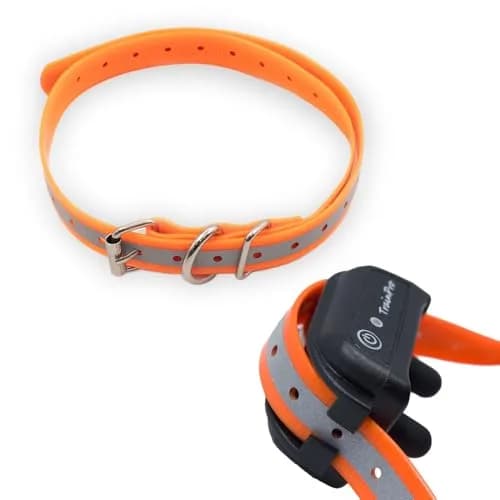 TrainPro Waterproof TPU Replacement Strap for Dog Training Collar, 27.5 in | Durable, Waterproof Nylon & Stainless Steel Buckle thumbnail 1