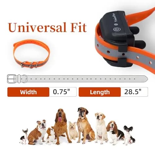 TrainPro Waterproof TPU Replacement Strap for Dog Training Collar, 27.5 in | Durable, Waterproof Nylon & Stainless Steel Buckle thumbnail 6