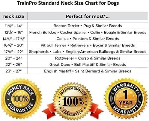 TrainPro Waterproof TPU Replacement Strap for Dog Training Collar, 27.5 in | Durable, Waterproof Nylon & Stainless Steel Buckle thumbnail 9