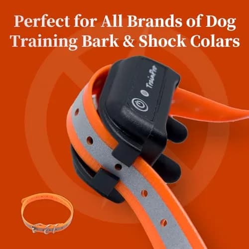 TrainPro Waterproof TPU Replacement Strap for Dog Training Collar, 27.5 in | Durable, Waterproof Nylon & Stainless Steel Buckle thumbnail 4
