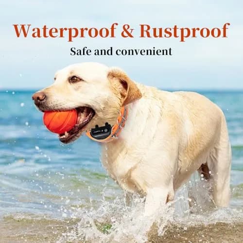 TrainPro Waterproof TPU Replacement Strap for Dog Training Collar, 27.5 in | Durable, Waterproof Nylon & Stainless Steel Buckle thumbnail 5