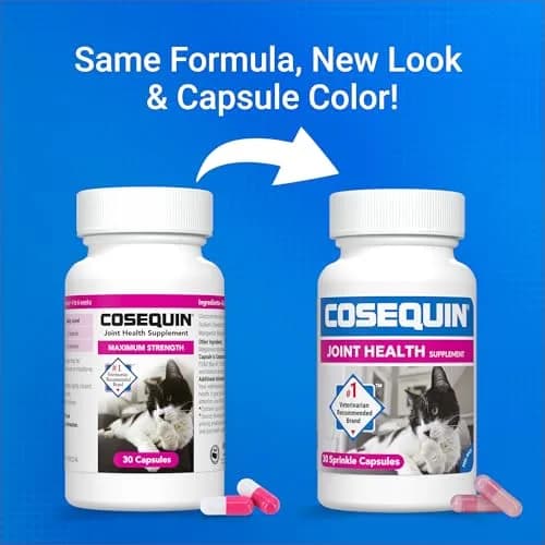 Nutramax Cosequin for Cats Joint Health Supplement Capsules 30 Count | Veterinarian Recommended Glucosamine for Cats thumbnail 2