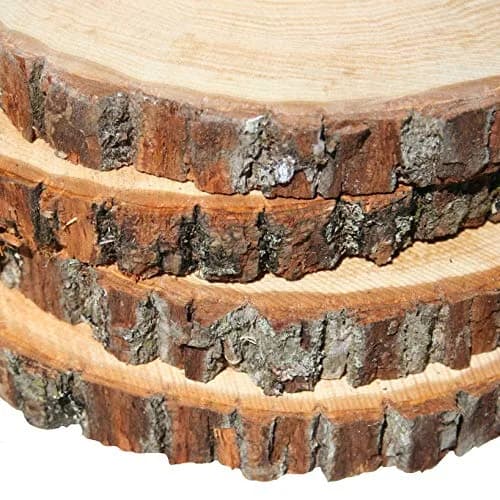 Wilson Basswood Round Rustic Wood Slice for Natural Décor, DIY Crafts (7-9") Set of Four | Rustic, Natural, Carvable thumbnail 6