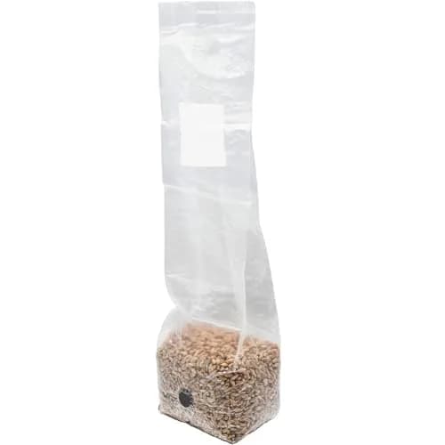 Out-Grow Sterilized Rye Berry Mushroom Substrate 6 pcs | Ready-to-Use, Self-Healing Port, 6 lb thumbnail 6