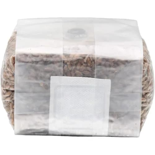 Out-Grow Sterilized Rye Berry Mushroom Substrate 6 pcs | Ready-to-Use, Self-Healing Port, 6 lb thumbnail 2