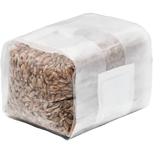 Out-Grow Sterilized Rye Berry Mushroom Substrate 6 pcs | Ready-to-Use, Self-Healing Port, 6 lb thumbnail 4