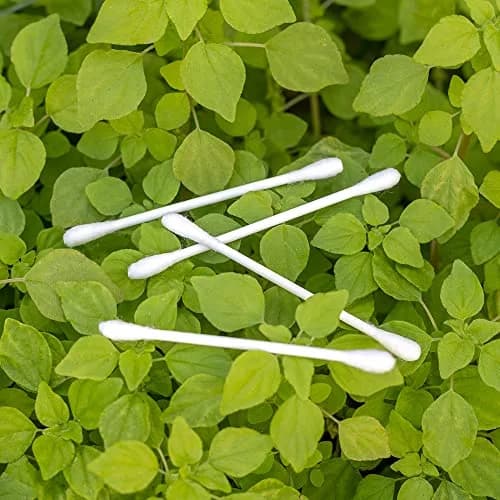 Sky Organics Organic Cotton Swabs 1000 Ct | Hypoallergenic, Chlorine-Free, Sustainable thumbnail 7