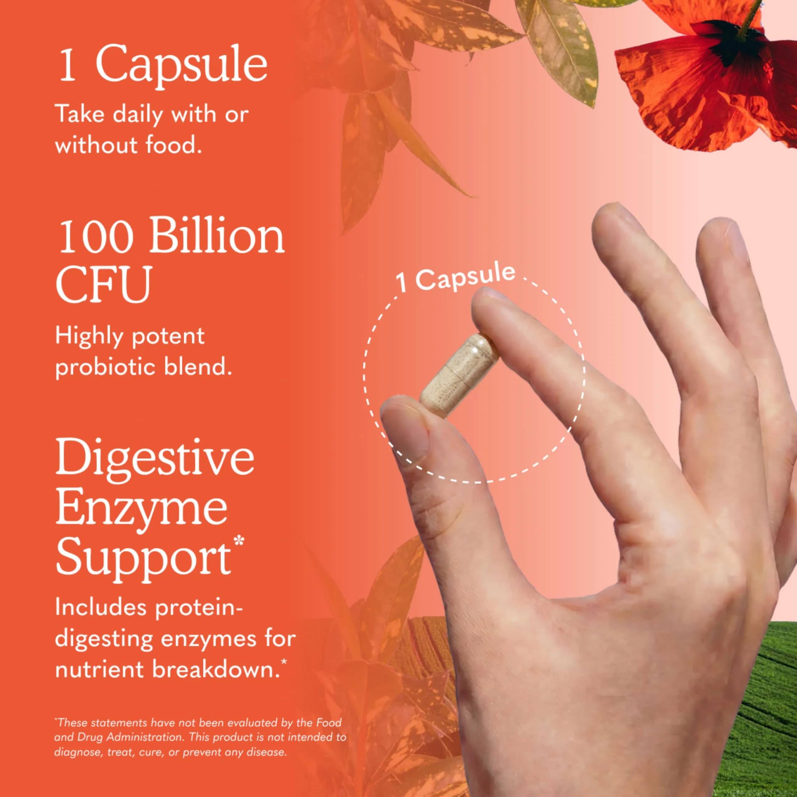 Garden of Life Raw Probiotics Ultimate Care 100 Billion CFU 30 Capsules | Clinically Studied Strains for Digestive Health - view 7