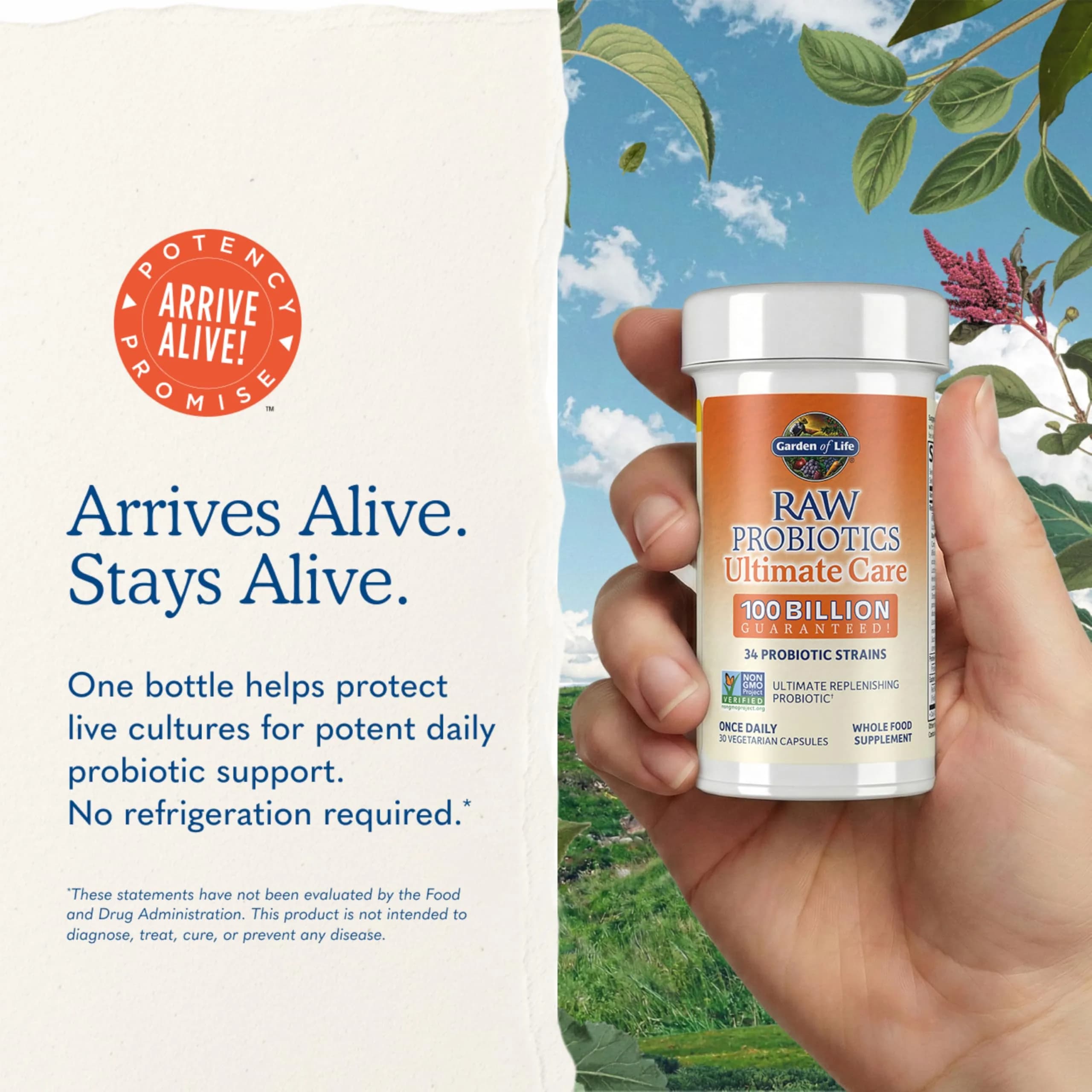 Garden of Life Raw Probiotics Ultimate Care 100 Billion CFU 30 Capsules | Clinically Studied Strains for Digestive Health - view 9