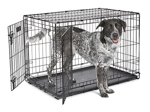 MidWest iCrate Starter Kit 36-inch Dog Crate Bundle for Medium to Large Breeds | All-in-One Pet Care Set thumbnail 2
