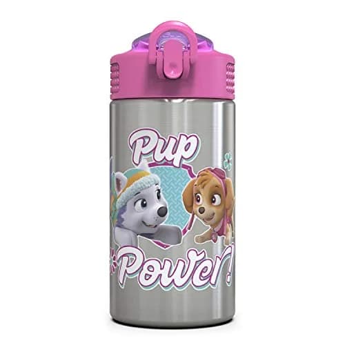 Zak Designs Paw Patrol Skye Stainless Steel Water Bottle 450ml (15.5 oz) | Leak-Proof Straw Spout for Kids thumbnail 1