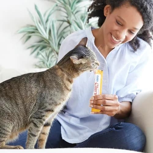 INABA Churu Cat Treats Chicken Variety 50 Tubes | Hydrating Lickable Purée for All Life Stages thumbnail 4