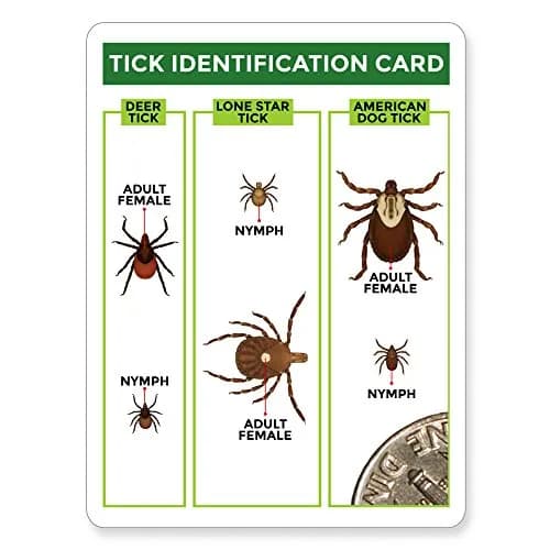 TickCheck Tick Remover Value 3 Pack with ID Card | Easy Tick Removal for Humans, Dogs, Cats & Pets thumbnail 4