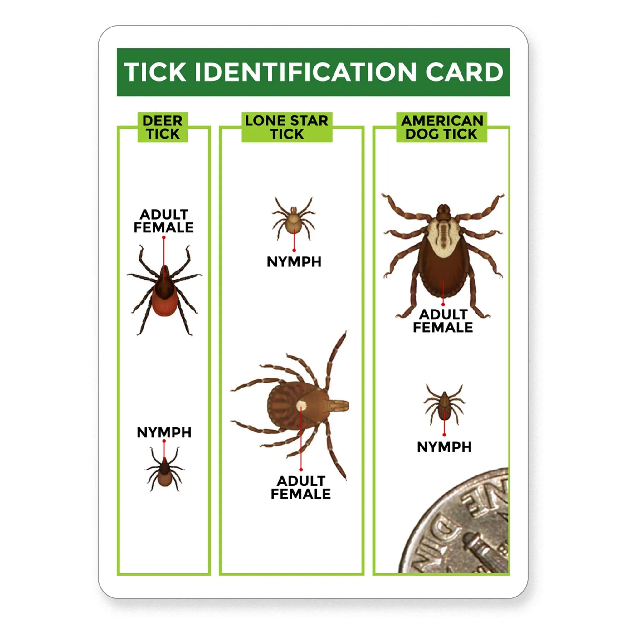 TickCheck Tick Remover Value 3 Pack with ID Card | Easy Tick Removal for Humans, Dogs, Cats & Pets - view 4
