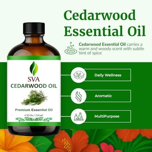 SVA ORGANICS Cedarwood Essential Oil 4 Fl Oz (118 mL) - 100% Pure & Natural thumbnail 2