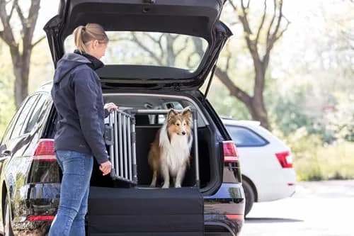 TRIXIE Aluminium Transport Box 48 x 56 x 61 cm | Safe, Stable & Quiet Pet Carrier thumbnail 4