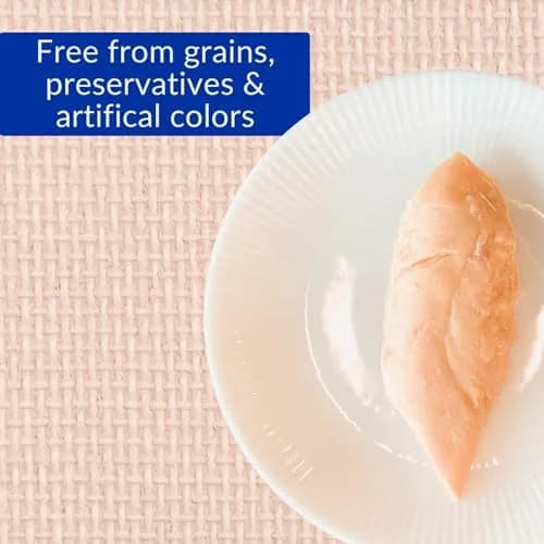 INABA Grilled Fillet Cat Treats, Extra Tender Chicken in Crab Broth, 6ct | Moist, Flaky, Hand-Feed Friendly thumbnail 6