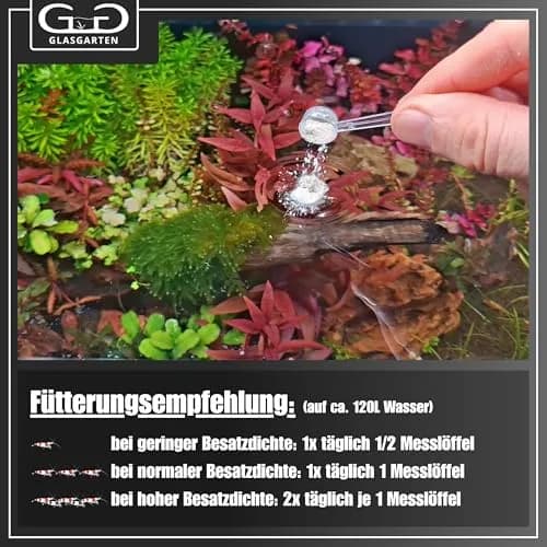 GlasGarten Bacter AE Content 70 g | Aquarium Microorganisms & Enzymes for Shrimp & Fish thumbnail 8