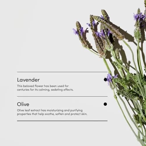 LATHER Lavender & Olive Foaming Body Scrub 4 Oz | Gentle Exfoliating & Hydrating for All Skin Types thumbnail 4