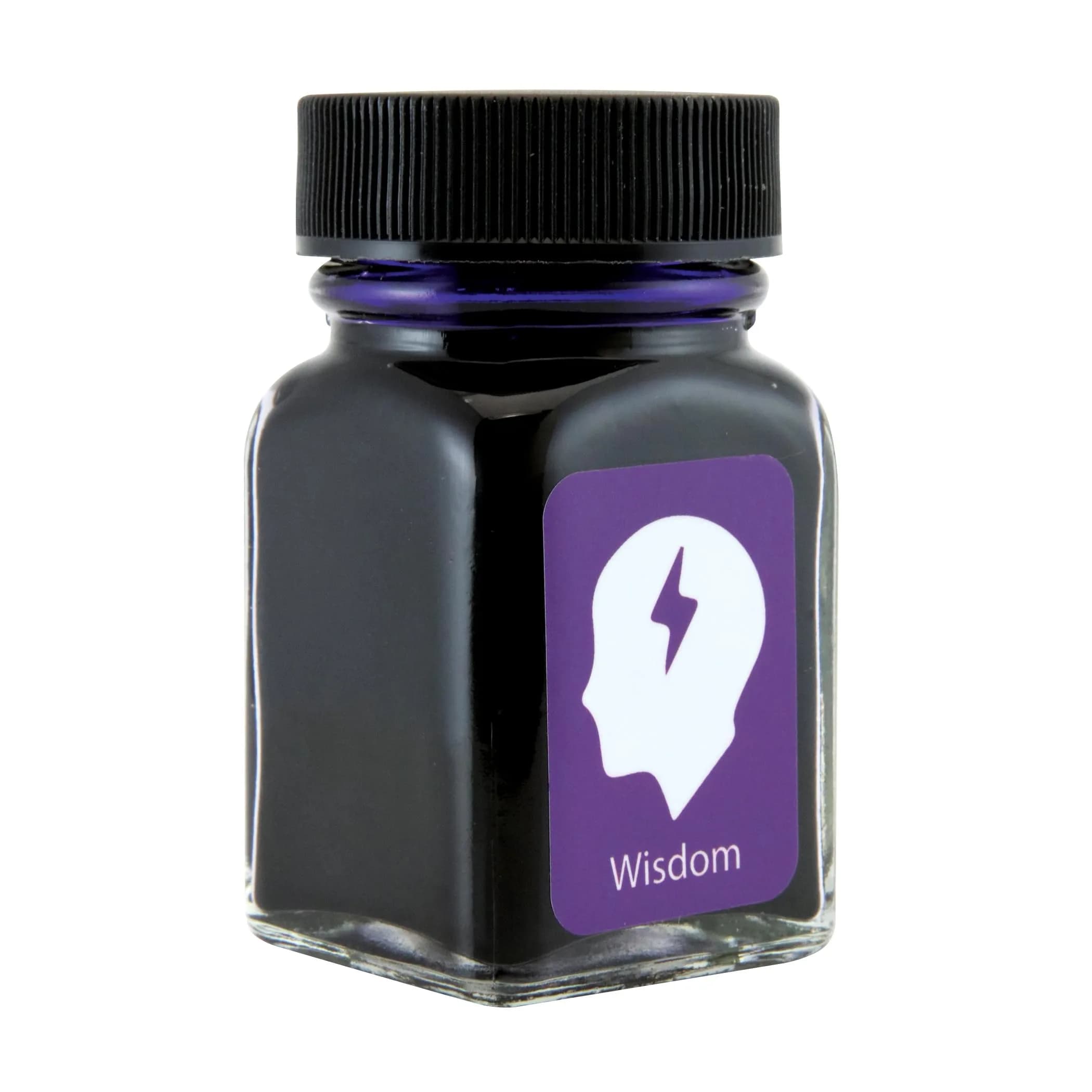 Monteverde Liquid Ink Wisdom Purple 30ml | Reflective, Smooth Flow, Fade-Resistant — Wisdom Purple