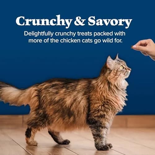 Blue Buffalo Wilderness Tasty Salmon Crunchy Cat Treats 340g (12 oz) | Grain-Free, Real Salmon First thumbnail 6