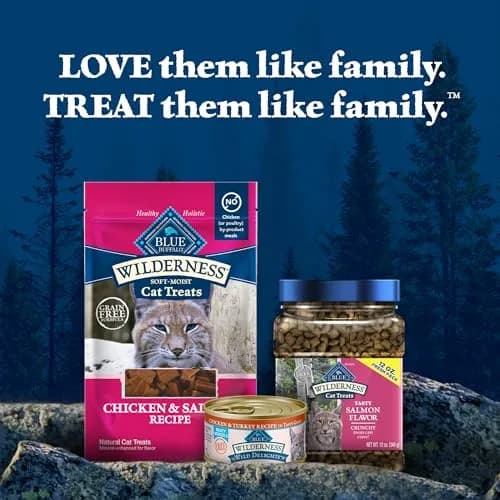 Blue Buffalo Wilderness Tasty Salmon Crunchy Cat Treats 340g (12 oz) | Grain-Free, Real Salmon First thumbnail 8