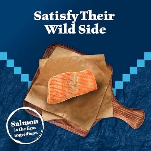 Blue Buffalo Wilderness Tasty Salmon Crunchy Cat Treats 340g (12 oz) | Grain-Free, Real Salmon First thumbnail 3