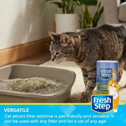 Fresh Step Cat Litter Box Training Attractant Powder, 9 Oz Bottle, 3-Pack | Herbal Blend Scent Cues Guide Cats Back to the Litter Box thumbnail 3