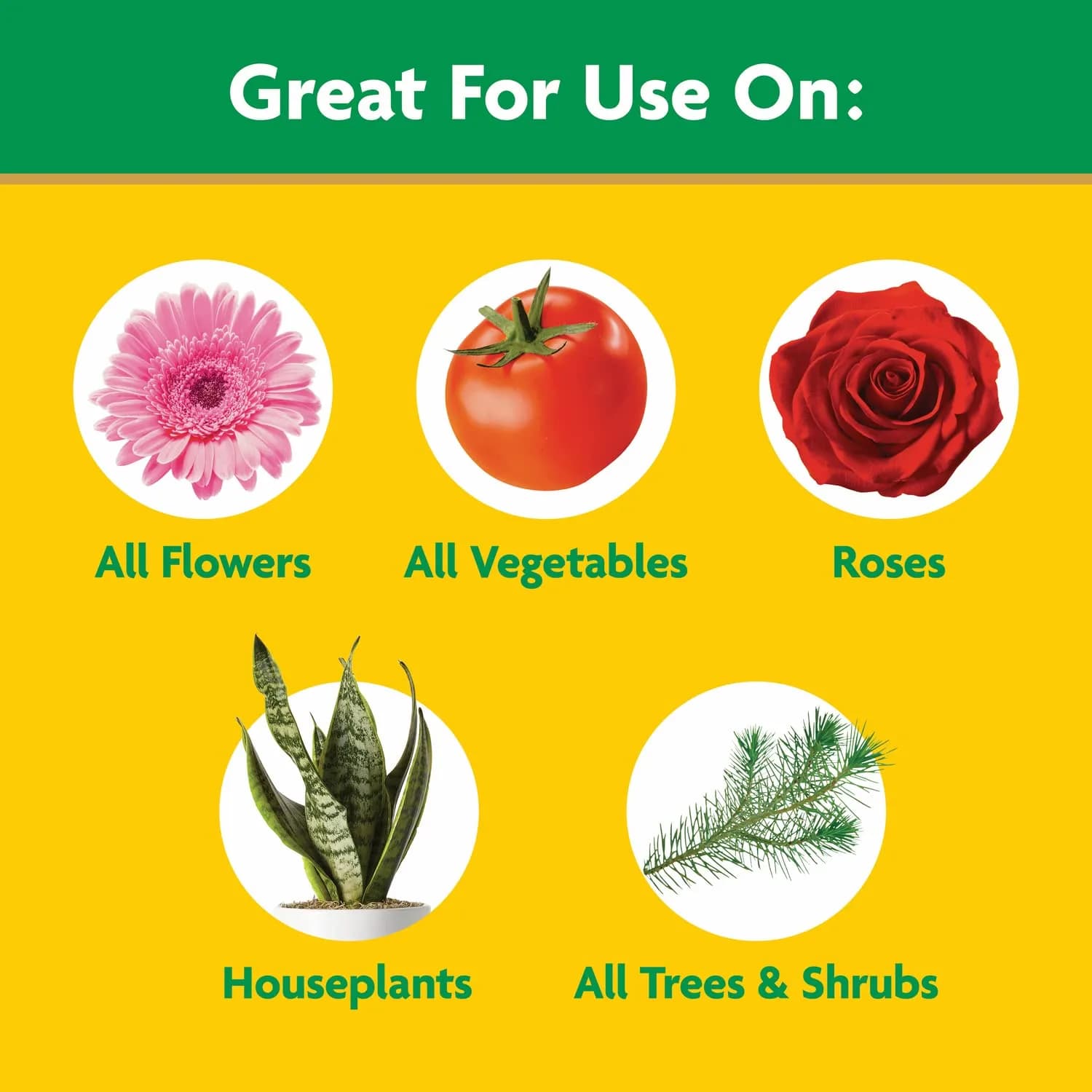 Miracle-Gro Water Soluble All Purpose Plant Food 6.25 lb (2.83 kg) | Feeds Plants Instantly for Bigger Blooms - view 6