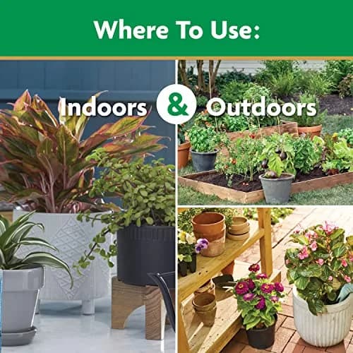 Miracle-Gro Water Soluble All Purpose Plant Food 6.25 lb (2.83 kg) | Feeds Plants Instantly for Bigger Blooms thumbnail 7