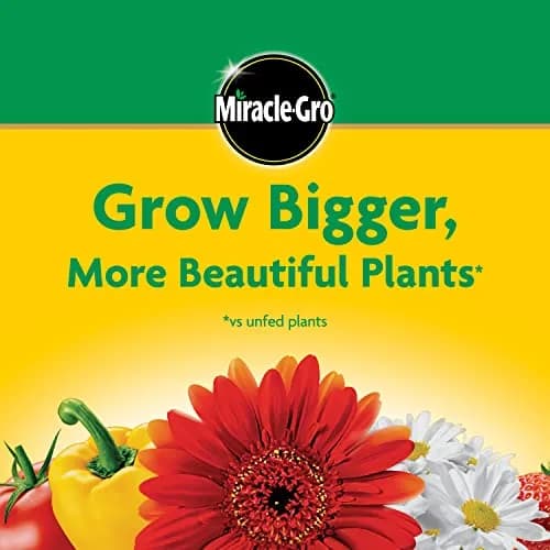 Miracle-Gro Water Soluble All Purpose Plant Food 6.25 lb (2.83 kg) | Feeds Plants Instantly for Bigger Blooms thumbnail 9