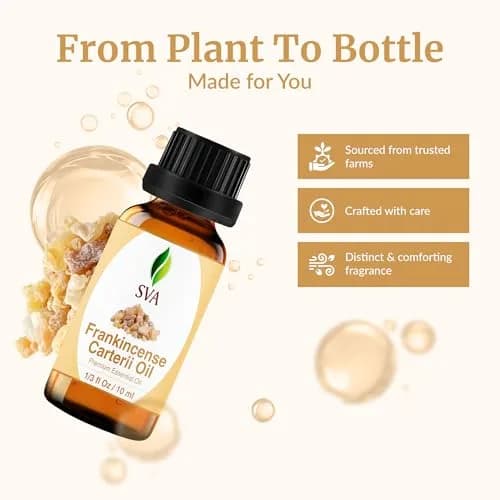 SVA Organics Frankincense Essential Oil (Carterii) - 0.33 Fl Oz (Pack of 1) thumbnail 4