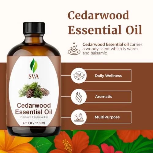 SVA Organics Cedarwood Essential Oil - 4 Fl Oz (118 mL) - Pure & Natural Aromatherapy Oil thumbnail 2